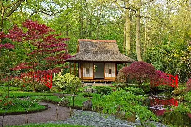 "Japanese garden typical view, Den Haag, Holland"