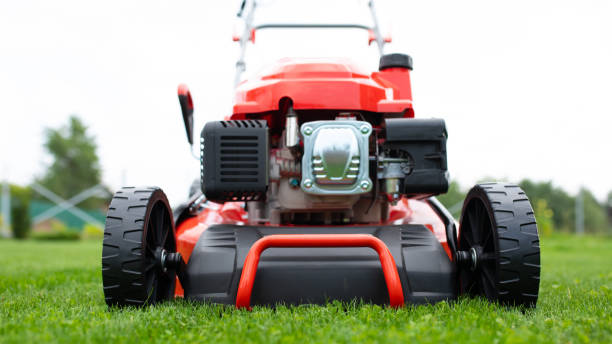 istock electric lawn mower for cutting grass 1783770706