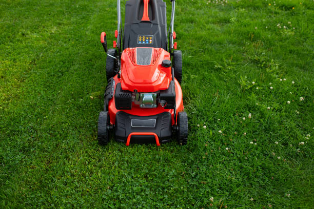 istock strong smooth lawn mower on green grass, top view 1783770802