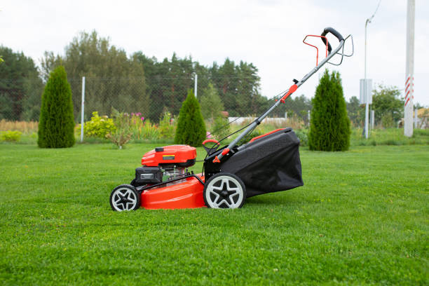 istock self-propelled lawn mower in the garden 1783770807