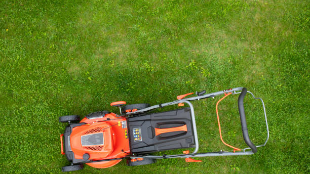 istock self-propelled lawn mower in the garden 1783770824