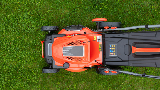 electric lawn mower for cutting grass.