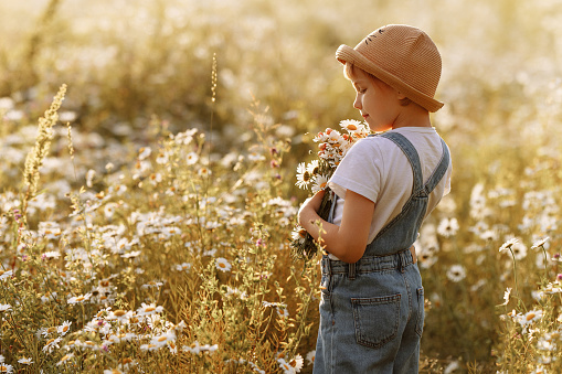 A girl in a hat with a bouquet of daisies in a field.