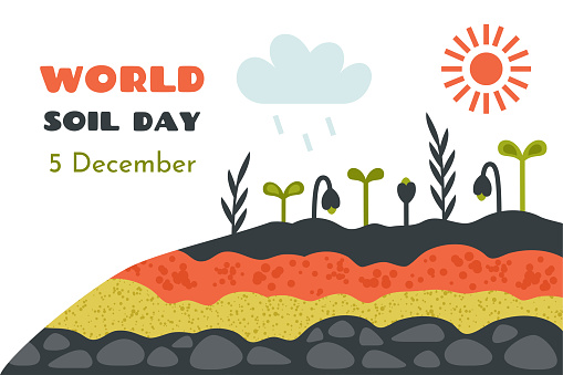 World soil day. Natural soil, sand, clay, stones, minerals, plants, flowers. Nture banner. Various Ground cross sections. Rain and sunshine favourable for fertile soil. Vector cartoon illustration