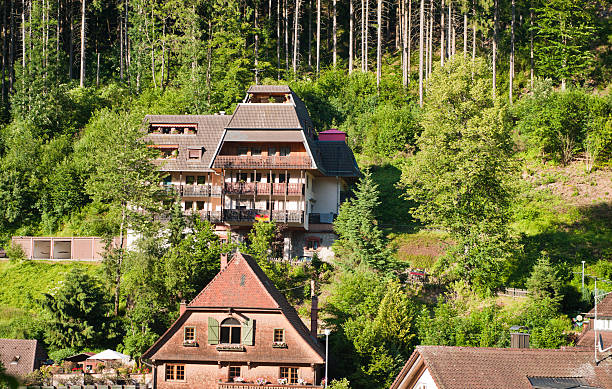 maison traditionnelle dans la forêt noire - triberg photos et images de collection