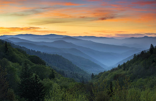 Sunrise Landscape Great Smoky Mountains National Park Gatlinburg TN Sunrise Landscape Great Smoky Mountains National Park Gatlinburg TN and Oconaluftee Valley Cherokee NC blue ridge parkway stock pictures, royalty-free photos & images