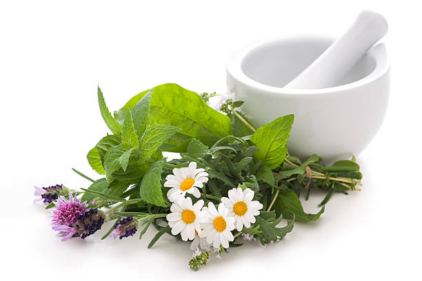 médecine alternative - mortar and pestle lavender chamomile herb photos et images de collection