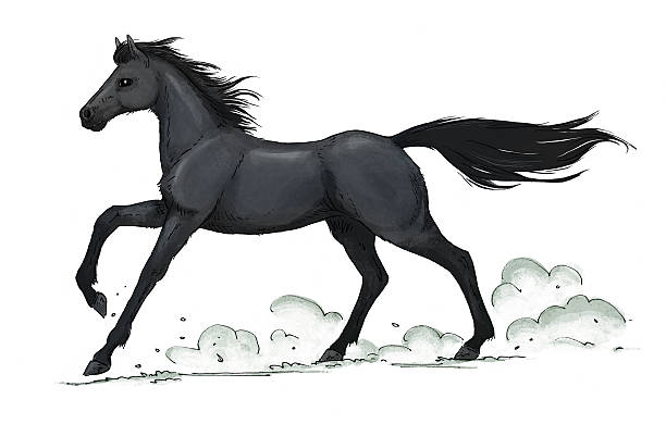 Black Horse Gallop vector art illustration