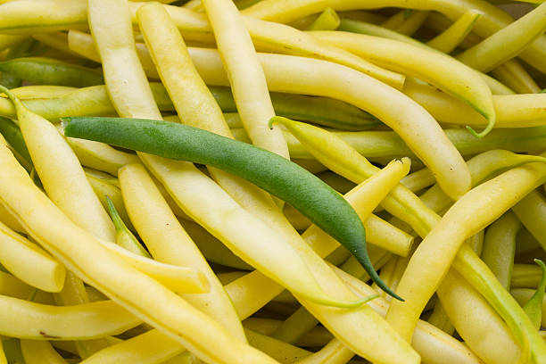 istock green pod on yellow haricot 178378304