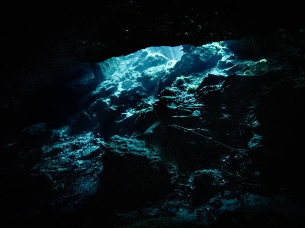 istock Sunlight streams into the cavern zone at P1, Wes Skiles Peacock Springs State Park, Suwannee County, Florida 1783786323