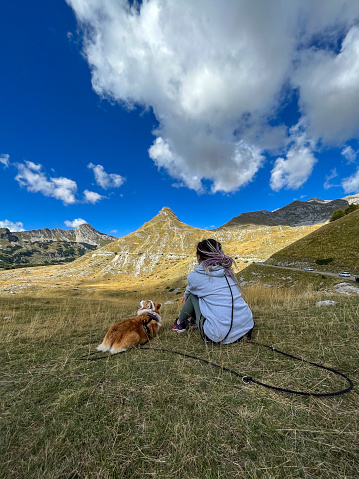 Girl with dreadlocks resting on a hill high in the mountains with her dog