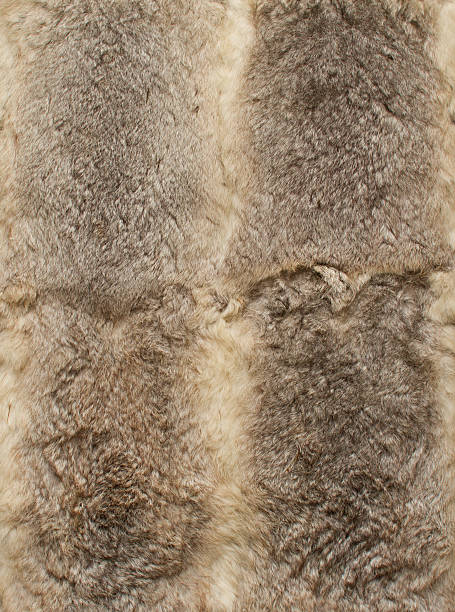 Gray leathers of rabbits, four pieces together stock photo