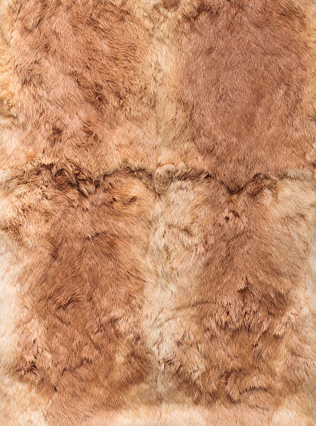 istock Ginger leathers of rabbits, four pieces together 178378825