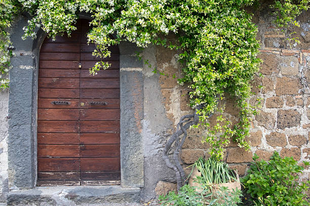 A plant of Jasmine and a wooden door in the italian countryside