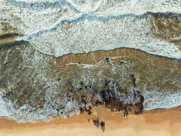 istock High Angle View Of Water and Rocks 1783793308