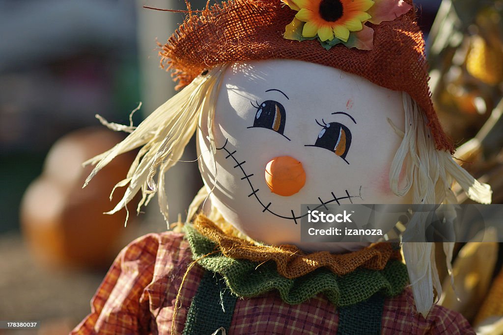 Little cute scarecrow Little cute scarecrow close-up Anthropomorphic Smiley Face Stock Photo