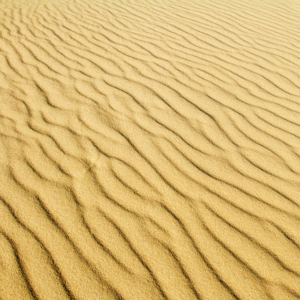 istock Desert sand background of a Curonian Spit dune 178380079
