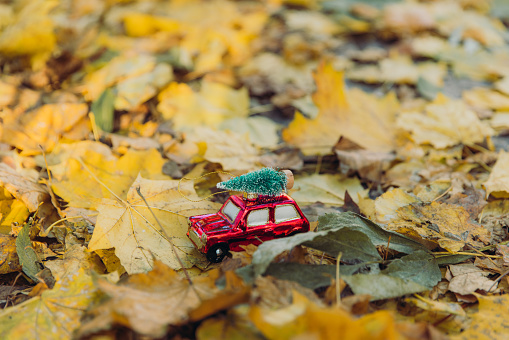 Small Christmas Tree toy - a red vintage car with green Christmas tree on the roof in the public park covered by yellow autumn leaves