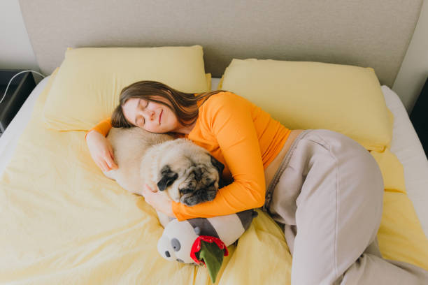 istock Cozy Time at Home Together 1783806403