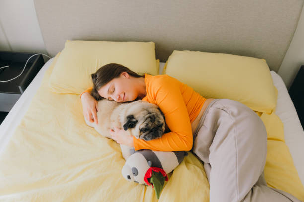 istock Cozy Time at Home Together 1783806969