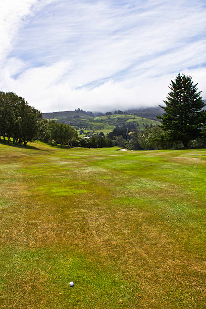 Dunedin Golf Course Stock Photos Pictures Royalty Free Images iStock Dunedin Golf Course Stock Photos Pictures Royalty Free Images iStock