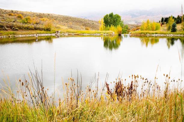 istock a lake and some mountains are in the background while clouds in the sky hang overhead 1783809322