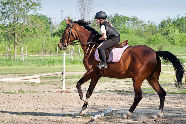 istock girl riding a horse 178381184