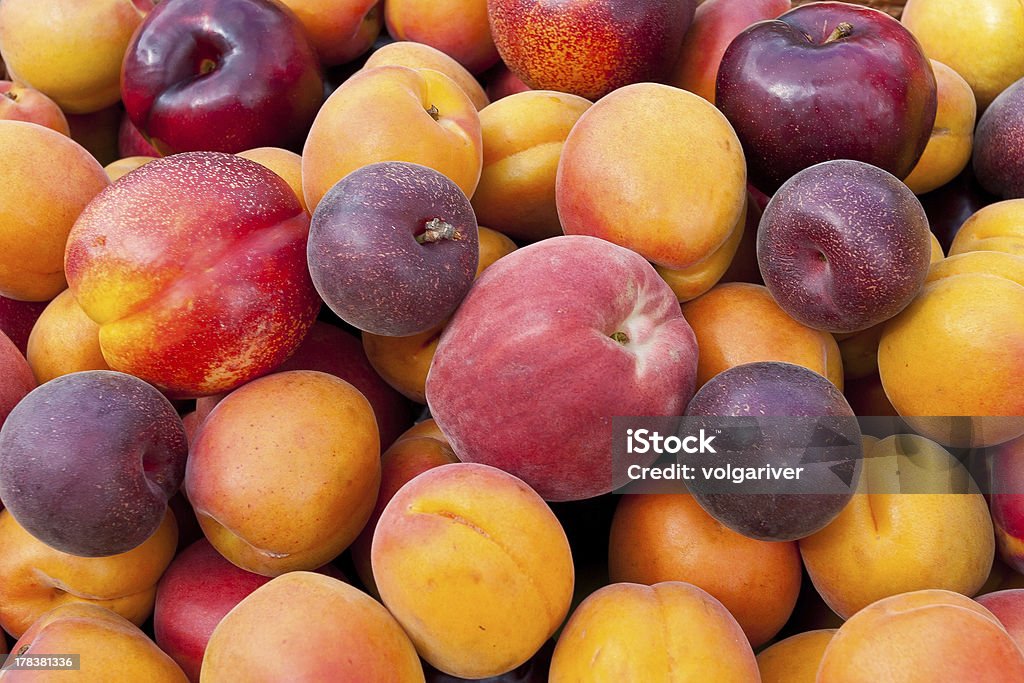 Pile of colorful fruits. "Pile of colorful summer fruits - apricots, nectarines, peaches, plums and  red velvet apricots." Peach Stock Photo