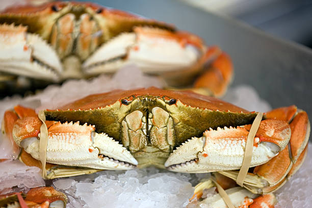 Dungeness crab Seafood row in Seattle's Pike Place market pike place market stock pictures, royalty-free photos & images