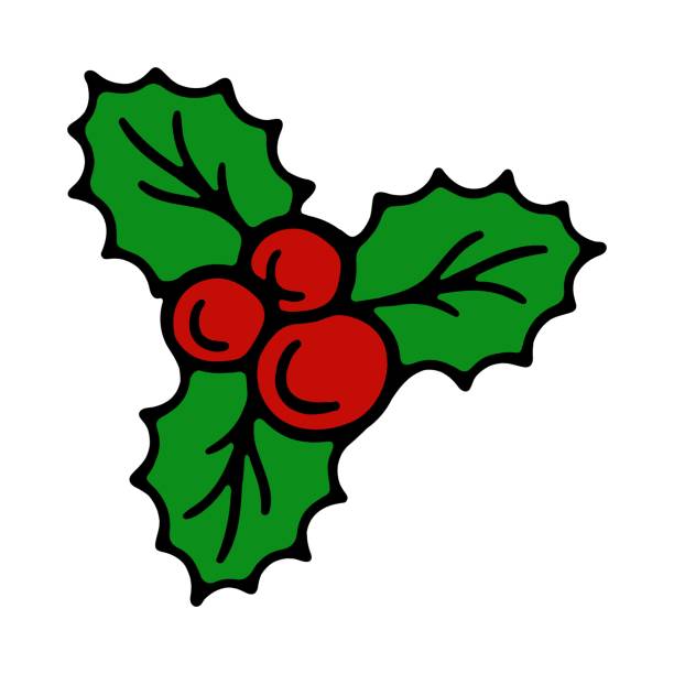 ilustrações de stock, clip art, desenhos animados e ícones de mistletoe berries. leaves, branch for kissing. decoration, decorate, christmas, new year, eve, december 25, winter, holiday atmosphere, celebrate, family celebration, traditions. colorful icon - snow leaf branch winter