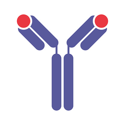 illustration of antibody immune system binds antigen at the epitope
