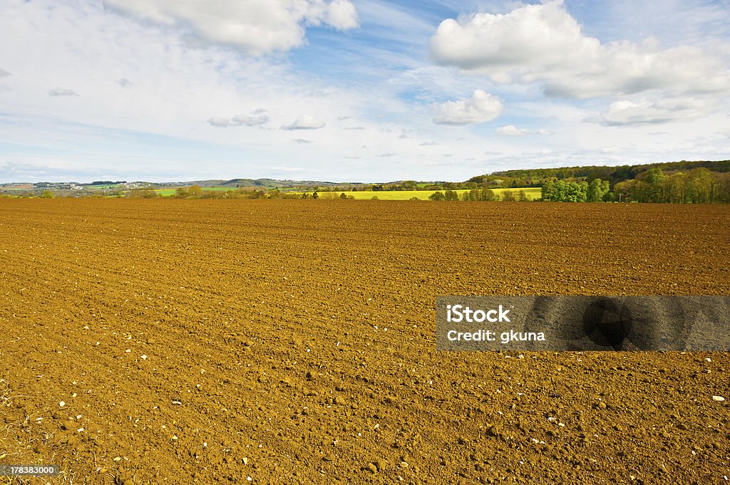 Campo lavrado - Royalty-free Agricultura Foto de stock