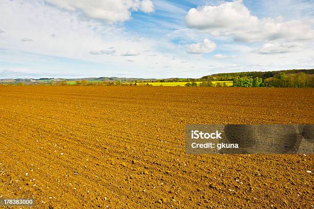 Campo Lavrado - Fotografias de stock e mais imagens de Agricultura - Agricultura, Ajardinado, Ao Ar Livre