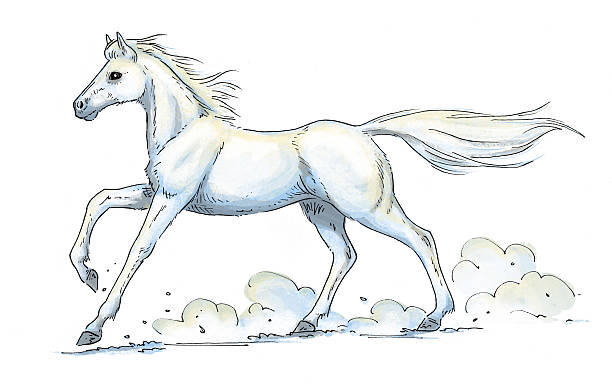 White Horse Gallop vector art illustration