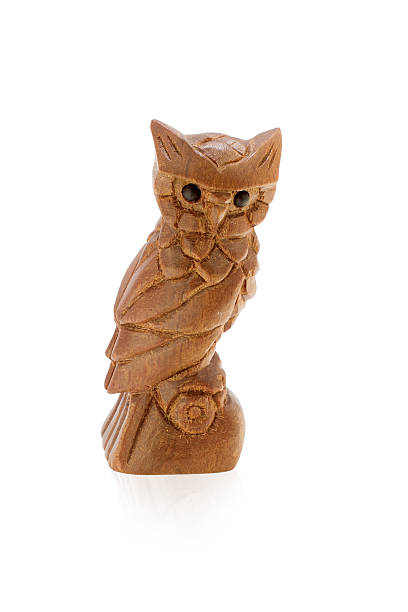 istock Wood owl with black eyes 178384511