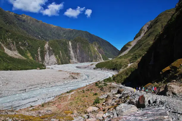 Fox Glacier on south island, New Zealand