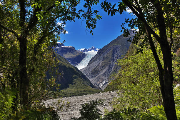 istock Trekking to Fox Glacier, New Zealand 1783848523