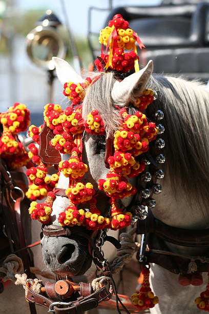 Cheval de travail - Photo