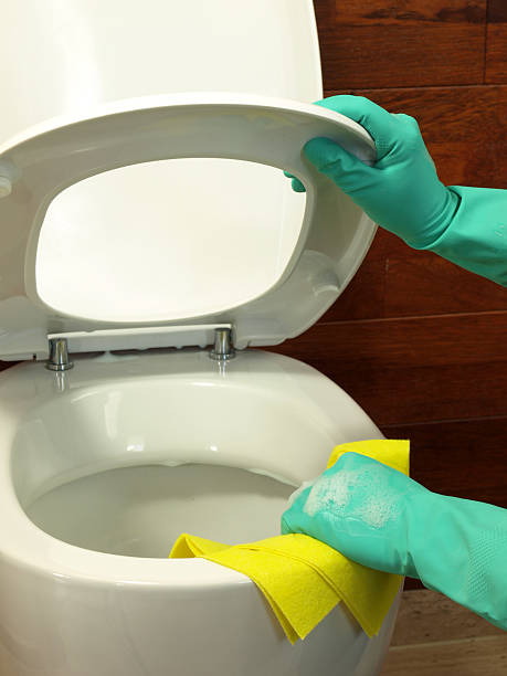 istock Cleaning toilet in a bathroom 178385395