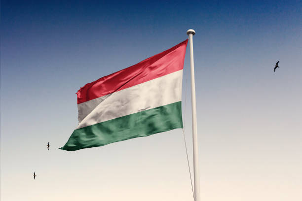 istock Hungary flag fluttering in the wind on sky. 1783854284