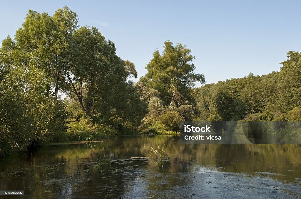 Koloksha river "Koloksha river in summer time, Russia" Blue Stock Photo