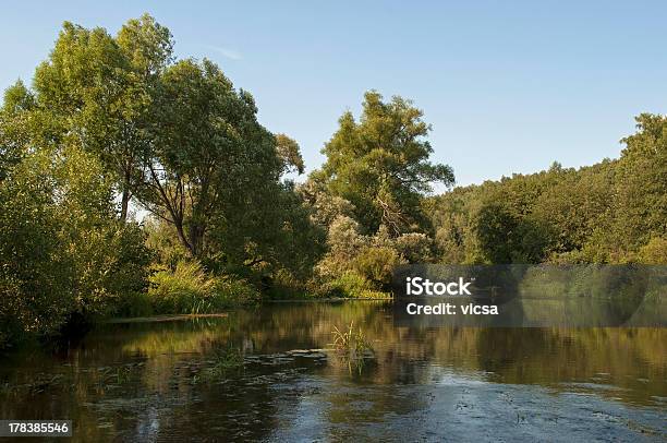 Koloksha River Stock Photo - Download Image Now - Blue, Branch - Plant Part, Canal