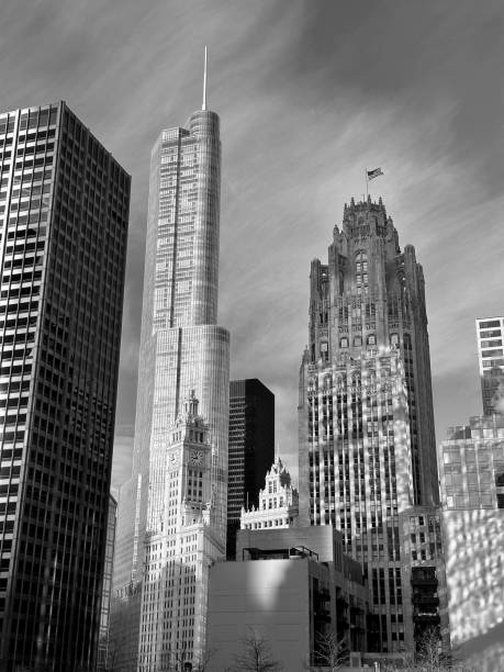 edifícios diferentes em chicago em preto e branco - chicago black and white contemporary tower - fotografias e filmes do acervo
