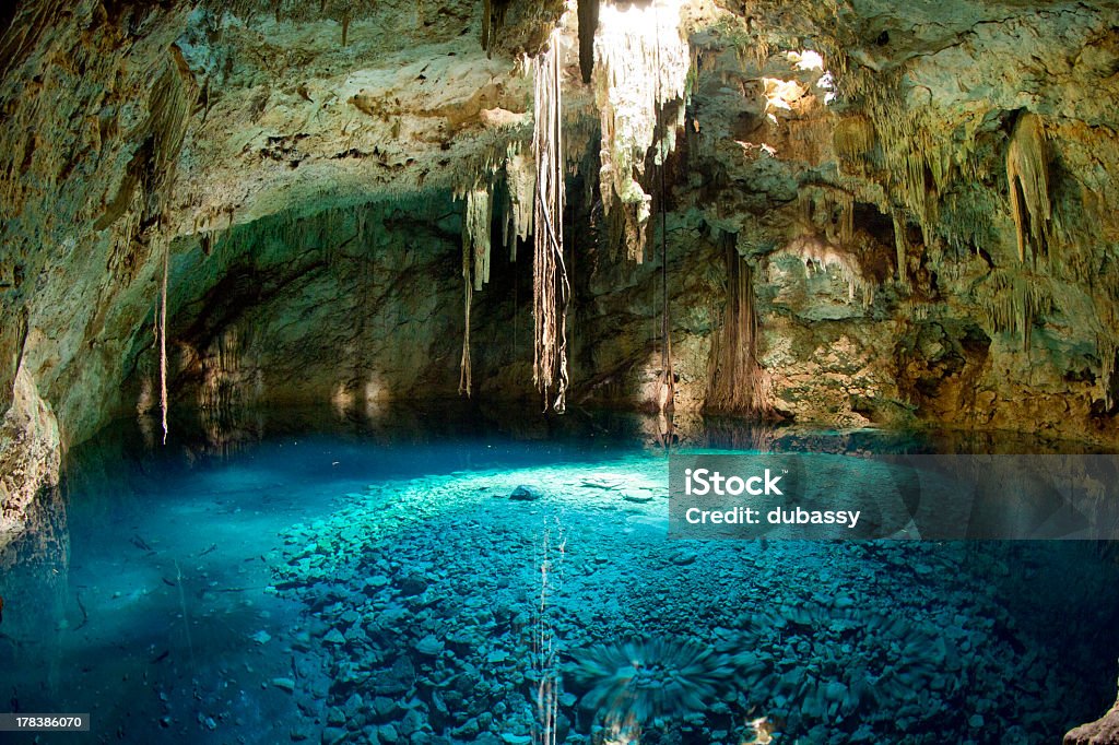 Sinkhole in Mexico with dangling vines cenote in mexico. these sinkholes are one of the natural wonders of the world Cenote Stock Photo