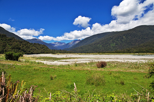 Nature of South island, New Zealand