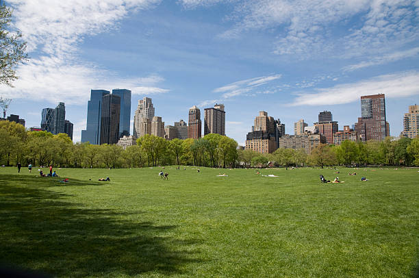 istock Central Park, New York City 178386431