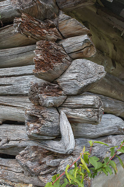 istock Corner of an old log house. 178387193