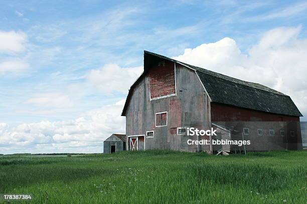 Ancora In Piedi - Fotografie stock e altre immagini di Agricoltura - Agricoltura, Blu, Cielo