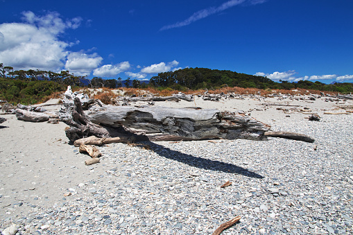 Tasman sea coast on the South island, New Zealand