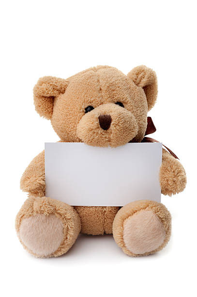 Toys: teddy bear holding white banner stock photo